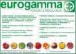 Eurogamma Flavors & Fragrances Srl 