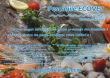 Ecovet Impex