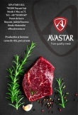 Avastar srl