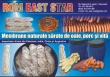 Rom East Star Srl