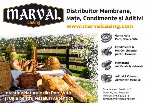 Marval Casing Srl